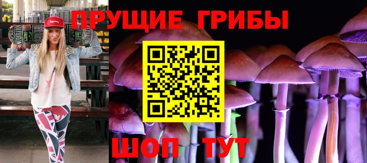 Псилоцибиновые грибы Psilocybine cubensis  Псилоцибиновые грибы Psilocybe  Армавир  Вход с VPN 